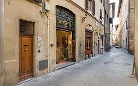 Jungle Suite Mood Behind Piazza Signoria